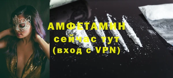 крисы Абаза