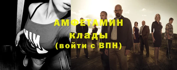 крисы Абаза