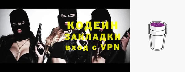 крисы Абаза