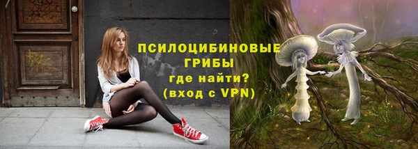 PSILOCYBIN Семикаракорск
