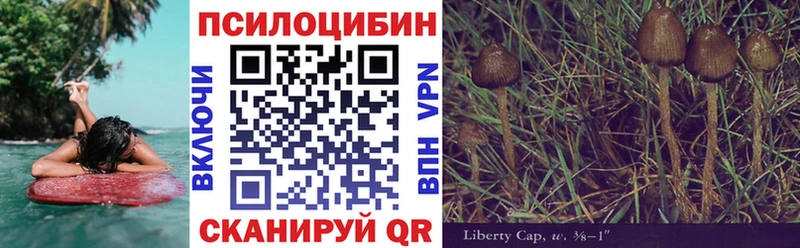 Галлюциногенные грибы мицелий  кракен как войти  Бугуруслан 