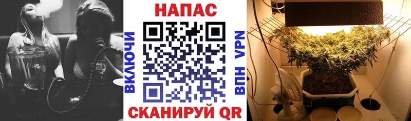 кракен как зайти  Бугуруслан  это наркотические препараты  Канабис Bruce Banner 